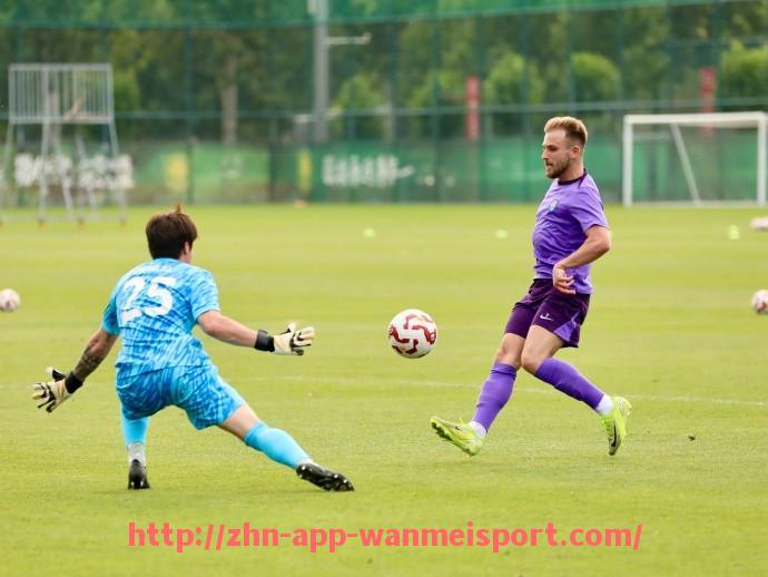 完美体育官方入口-法甲赛季外援综合分析及其对球队整体竞争力的决定性影响