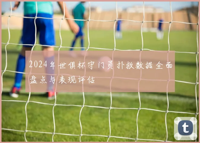 2024年世俱杯守门员扑救数据全面盘点与表现评估