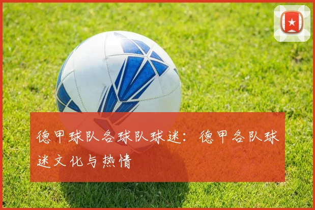 德甲球队各球队球迷：德甲各队球迷文化与热情