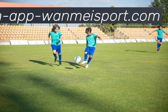 完美体育发展历程