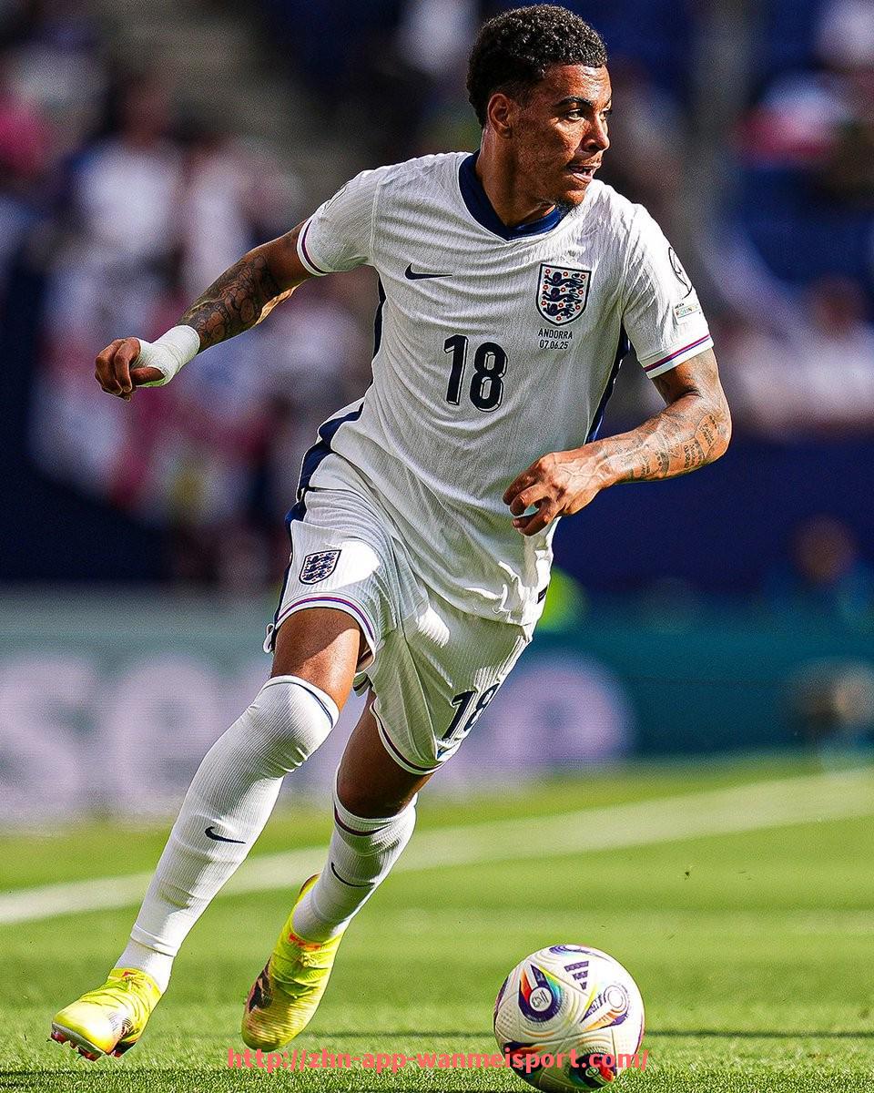 完美体育官方入口-德甲分区球队平局较多的原因及统计分析